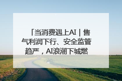 当消费遇上AI｜售气利润下行、安全监管趋严，AI浪潮下城燃企业如何破局