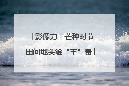 影像力丨芒种时节 田间地头绘“丰”景