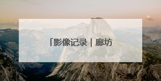 影像记录｜廊坊经洽会，现代商贸物流风向标