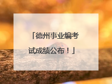 德州事业编考试成绩公布！