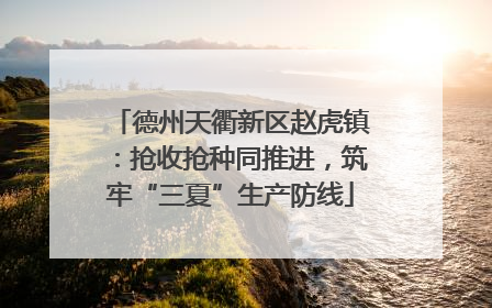 德州天衢新区赵虎镇：抢收抢种同推进，筑牢“三夏”生产防线