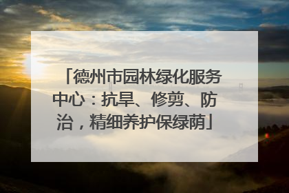 德州市园林绿化服务中心：抗旱、修剪、防治，精细养护保绿荫