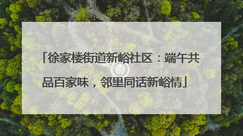 徐家楼街道新峪社区：端午共品百家味，邻里同话新峪情