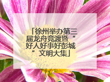徐州举办第三届龙舟竞渡暨“好人好事好彭城”文明大集
