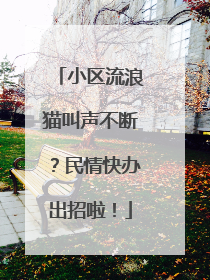 小区流浪猫叫声不断？民情快办出招啦！