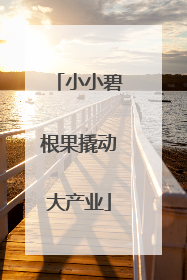 小小碧根果撬动大产业