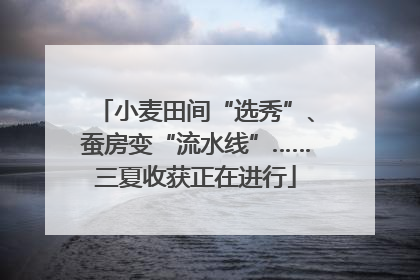 小麦田间“选秀”、蚕房变“流水线”……三夏收获正在进行