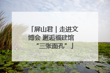 屏山君｜走进文博会 邂逅福建馆“三张面孔”