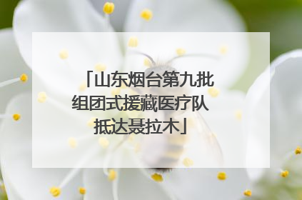 山东烟台第九批组团式援藏医疗队抵达聂拉木