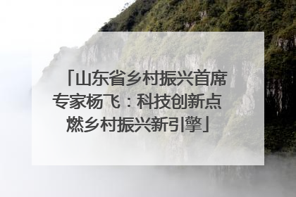 山东省乡村振兴首席专家杨飞：科技创新点燃乡村振兴新引擎