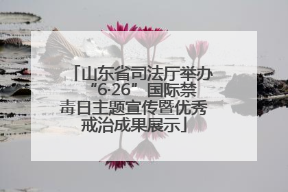 山东省司法厅举办“6·26”国际禁毒日主题宣传暨优秀戒治成果展示