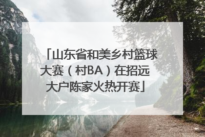 山东省和美乡村篮球大赛（村BA）在招远大户陈家火热开赛