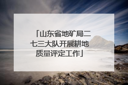 山东省地矿局二七三大队开展耕地质量评定工作
