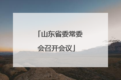 山东省委常委会召开会议
