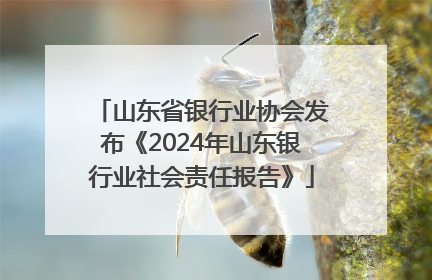 山东省银行业协会发布《2024年山东银行业社会责任报告》