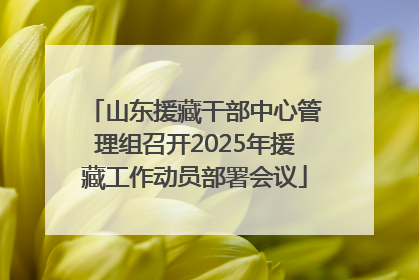 山东援藏干部中心管理组召开2025年援藏工作动员部署会议