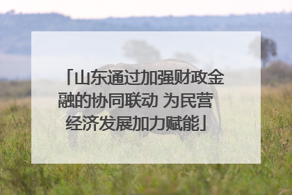 山东通过加强财政金融的协同联动 为民营经济发展加力赋能