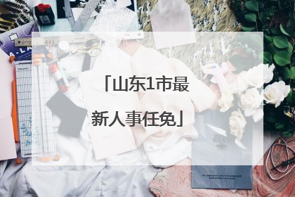 山东1市最新人事任免