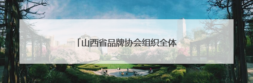 山西省品牌协会组织全体党员开展主题党日活动