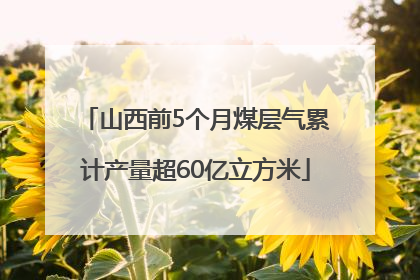 山西前5个月煤层气累计产量超60亿立方米
