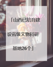 山西已培育建设省级文物科研基地26个