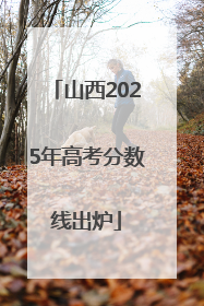 山西2025年高考分数线出炉