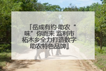 岳成有约·助农“味”你而来 监利市柘木乡全力打造数字助农特色品牌