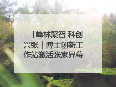 峰林聚智 科创兴张｜博士创新工作站激活张家界莓茶产业新动能