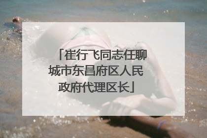 崔行飞同志任聊城市东昌府区人民政府代理区长