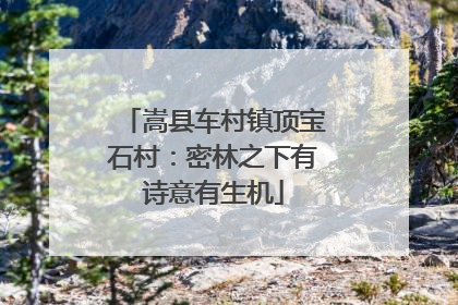 嵩县车村镇顶宝石村：密林之下有诗意有生机