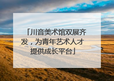 川音美术馆双展齐发，为青年艺术人才提供成长平台