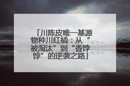 川陈皮唯一基源物种川红橘：从“被淘汰”到“香饽饽”的逆袭之路