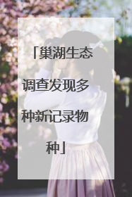 巢湖生态调查发现多种新记录物种