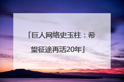 巨人网络史玉柱：希望征途再活20年