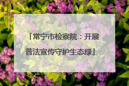 常宁市检察院：开展普法宣传守护生态绿