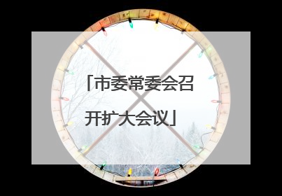 市委常委会召开扩大会议