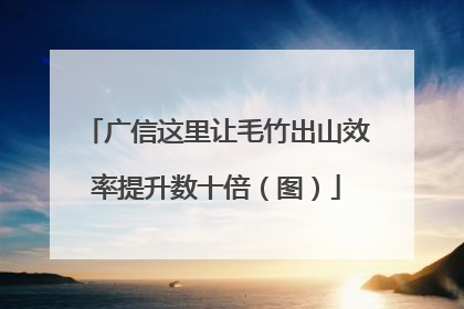 广信这里让毛竹出山效率提升数十倍（图）