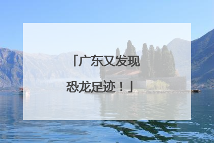 广东又发现恐龙足迹！