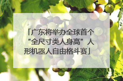 广东将举办全球首个“全尺寸类人身高”人形机器人自由格斗赛