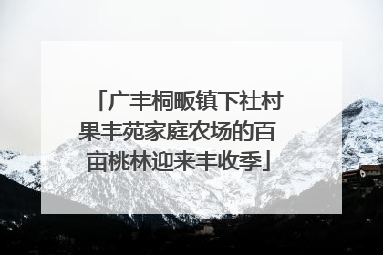 广丰桐畈镇下社村果丰苑家庭农场的百亩桃林迎来丰收季