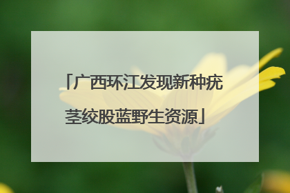 广西环江发现新种疣茎绞股蓝野生资源