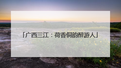 广西三江：荷香侗韵醉游人