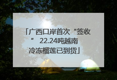 广西口岸首次“签收” 22.24吨越南冷冻榴莲已到货
