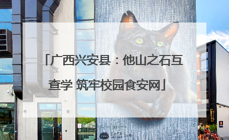 广西兴安县：他山之石互查学 筑牢校园食安网