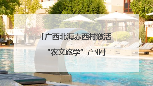 广西北海赤西村激活“农文旅学”产业
