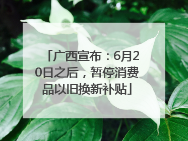 广西宣布：6月20日之后，暂停消费品以旧换新补贴
