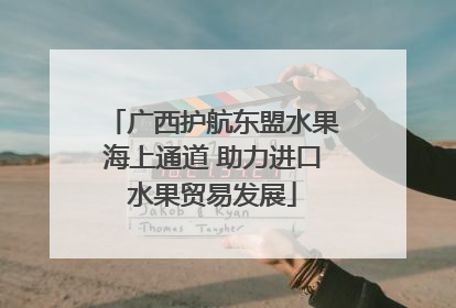 广西护航东盟水果海上通道 助力进口水果贸易发展