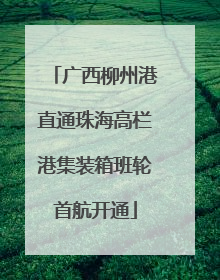 广西柳州港直通珠海高栏港集装箱班轮首航开通