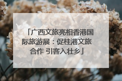 广西文旅亮相香港国际旅游展：促桂港文旅合作 引客入壮乡