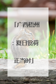 广西梧州：夏日赏荷正当时